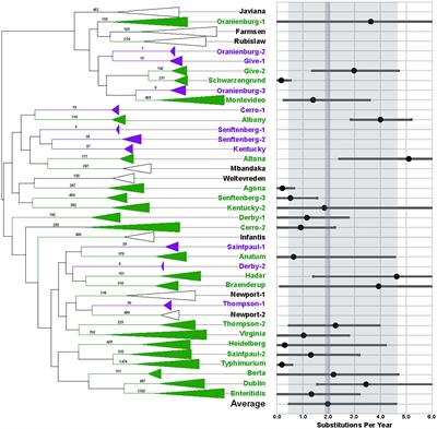 Using Evolutionary Analyses to Refine Whole-Genome Sequence Match Criteria